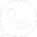 Whatsapp icon